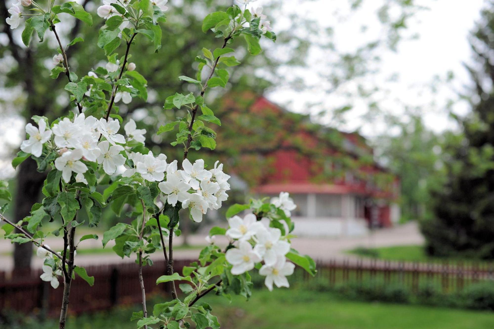 Hotel Krapi Tuusula Buitenkant foto